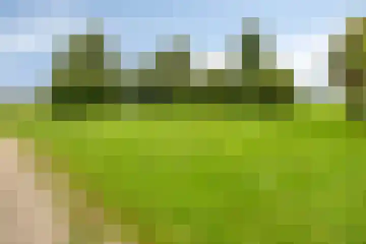 Graspieper 20 IJsselmuiden thumbnail 38
