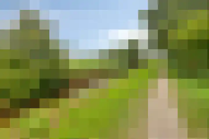Graspieper 20 IJsselmuiden thumbnail 39