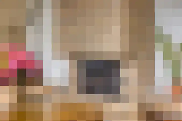 Graspieper 20 IJsselmuiden thumbnail 5