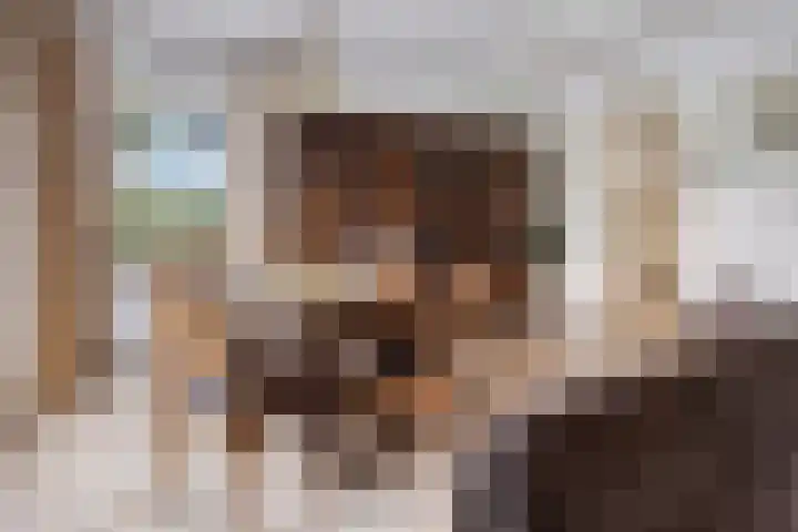 Graspieper 20 IJsselmuiden thumbnail 6