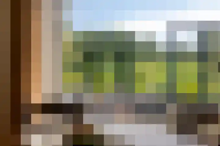 Graspieper 20 IJsselmuiden thumbnail 7