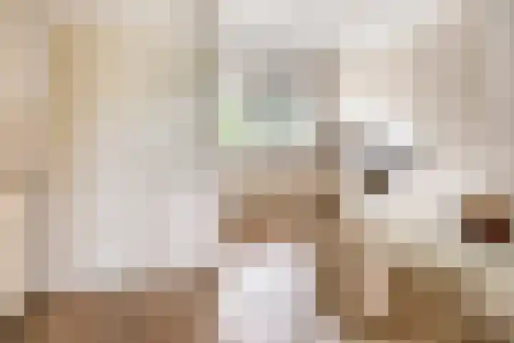 Graspieper 20 IJsselmuiden thumbnail 8