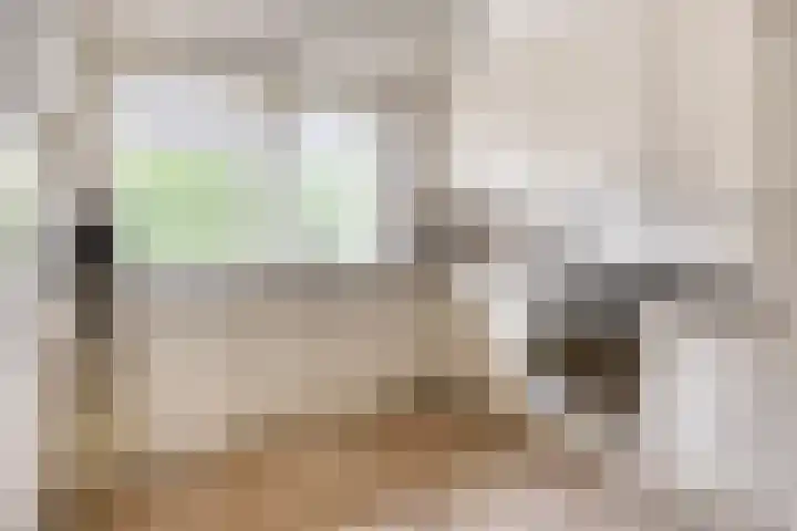 Graspieper 20 IJsselmuiden thumbnail 9