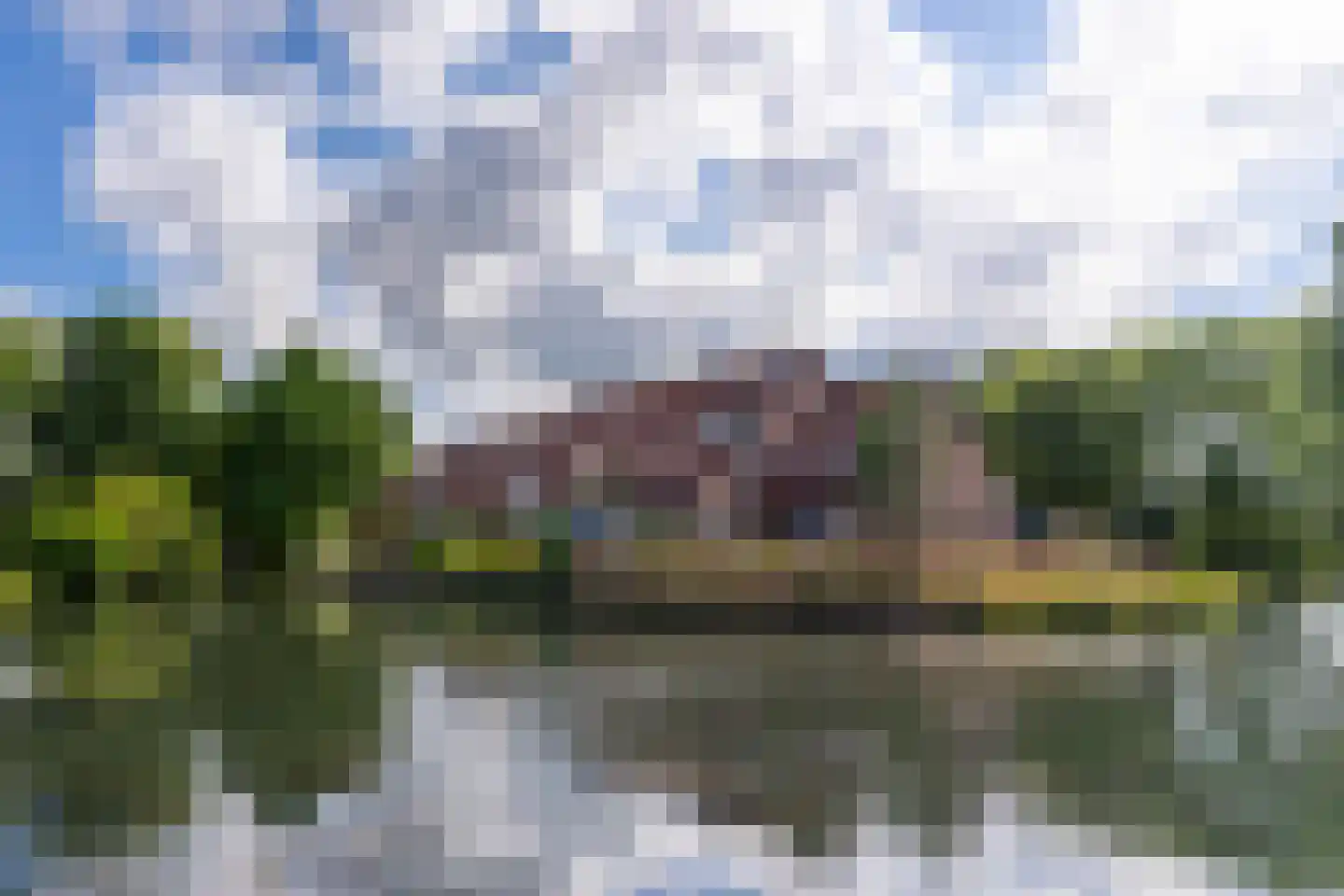 Graspieper 20 Nieuwegein