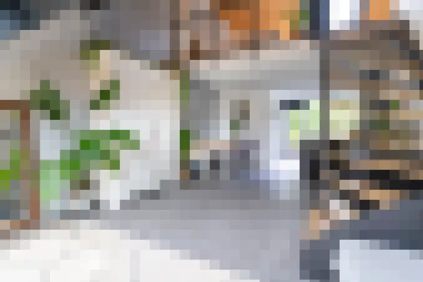 Graspieper 20 Nieuwegein thumbnail 10