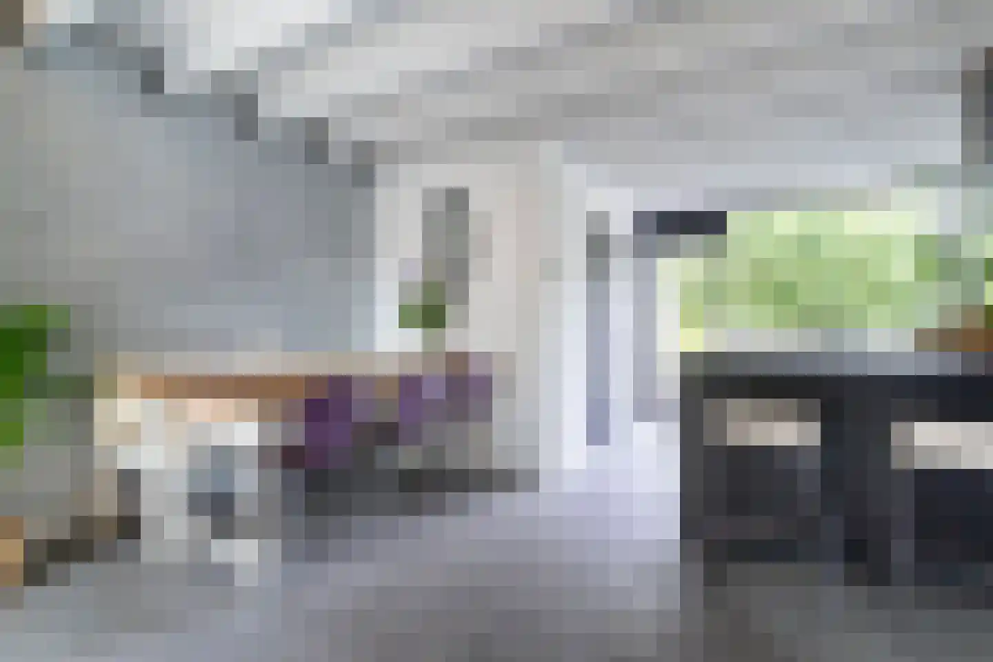 Graspieper 20 Nieuwegein thumbnail 11