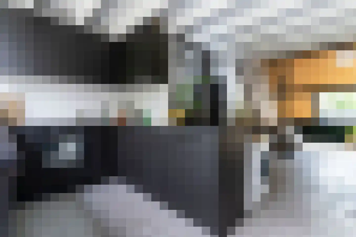 Graspieper 20 Nieuwegein thumbnail 13