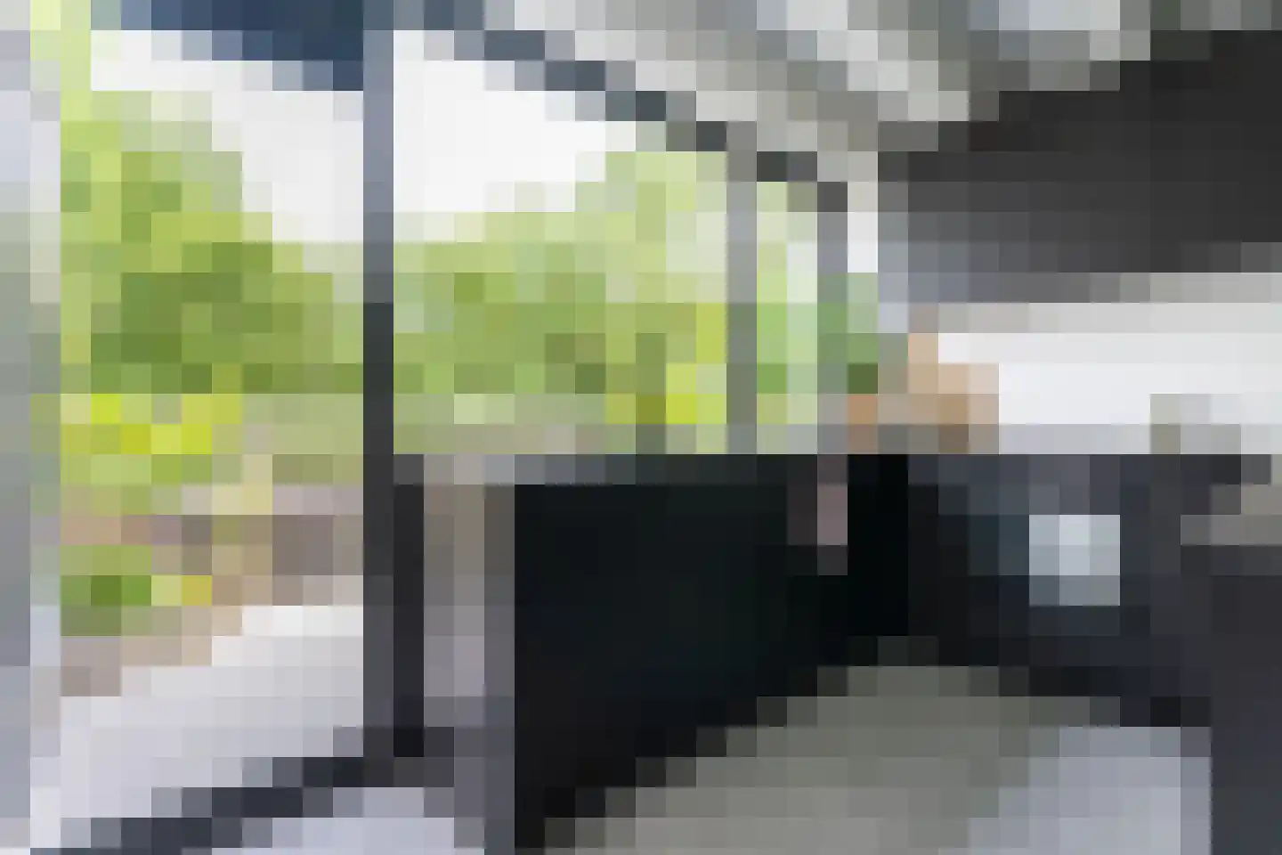 Graspieper 20 Nieuwegein thumbnail 15