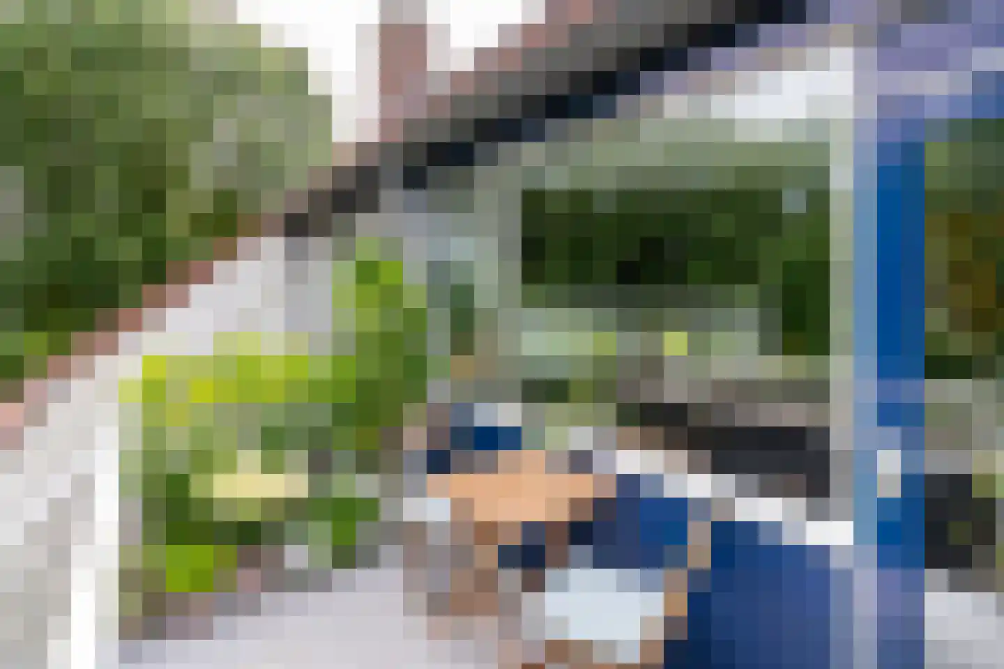 Graspieper 20 Nieuwegein thumbnail 17