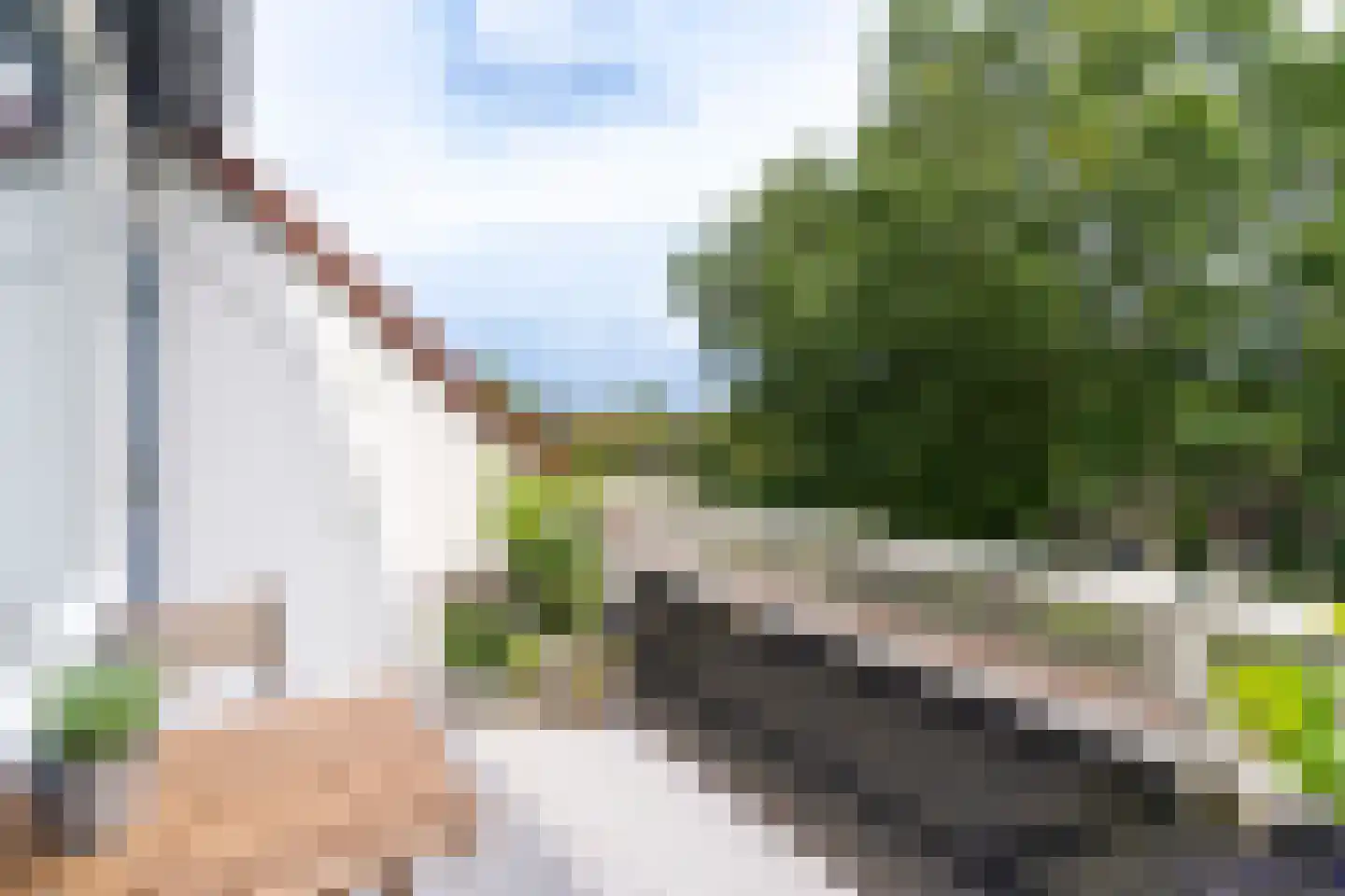 Graspieper 20 Nieuwegein thumbnail 18