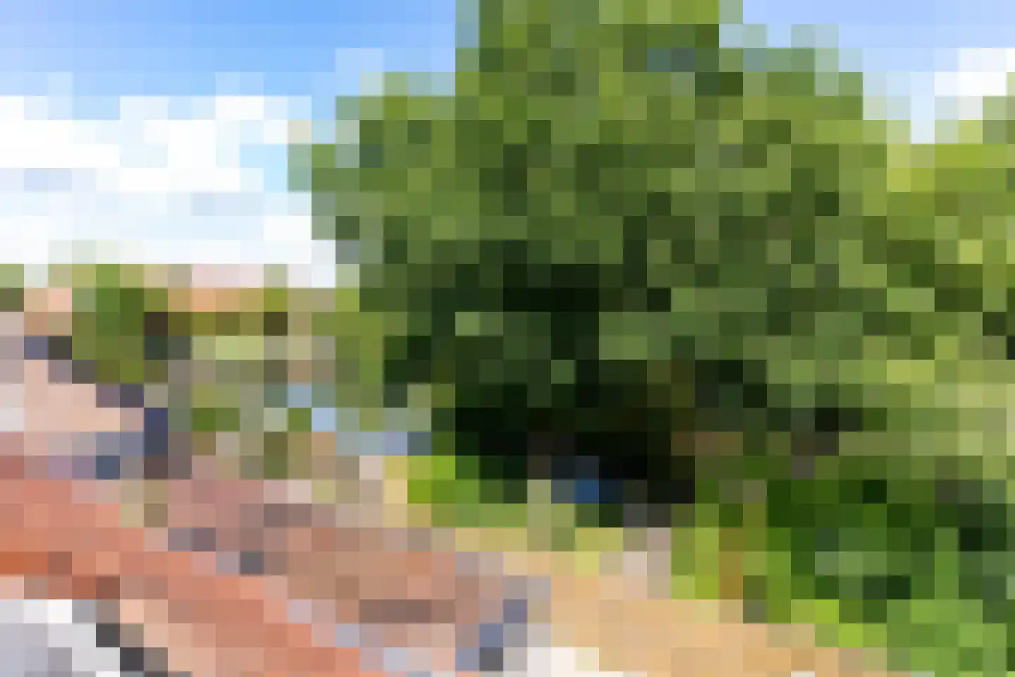 Graspieper 20 Nieuwegein thumbnail 19