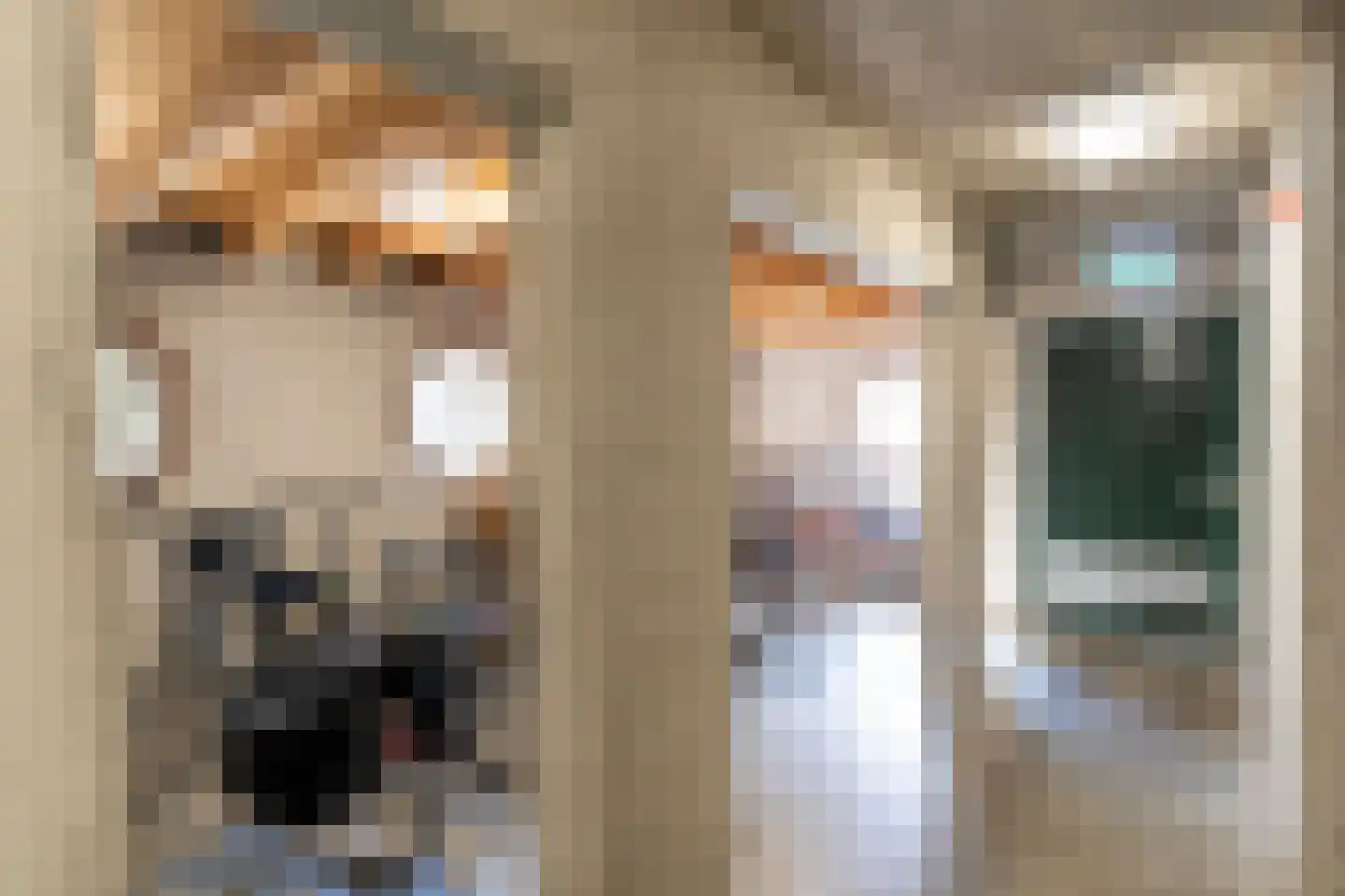 Graspieper 20 Nieuwegein thumbnail 28