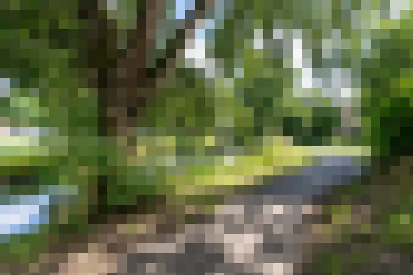 Graspieper 20 Nieuwegein thumbnail 31