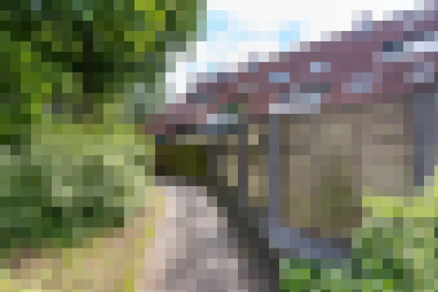 Graspieper 20 Nieuwegein thumbnail 33