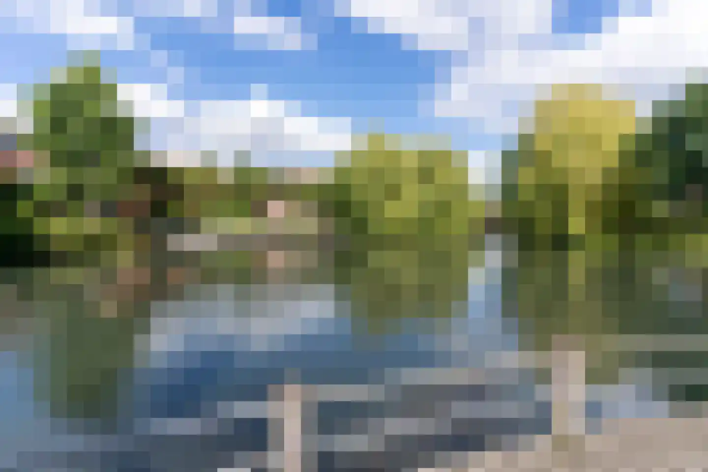 Graspieper 20 Nieuwegein thumbnail 34