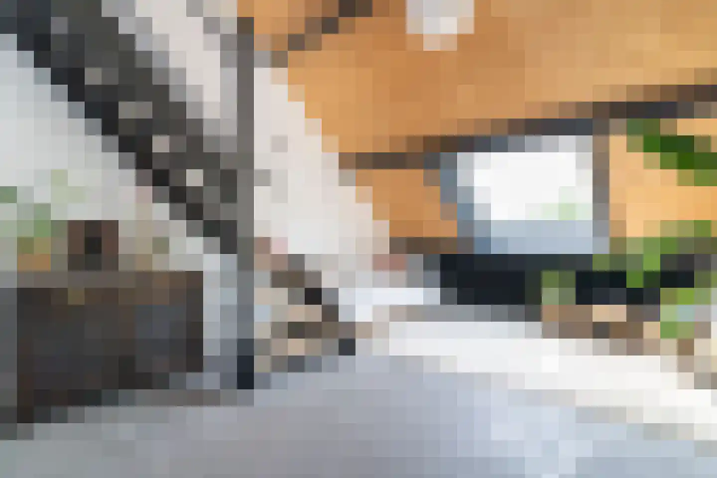 Graspieper 20 Nieuwegein thumbnail 8