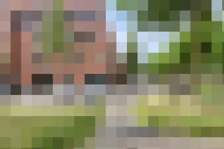 Graspieper 25 Eindhoven thumbnail 10