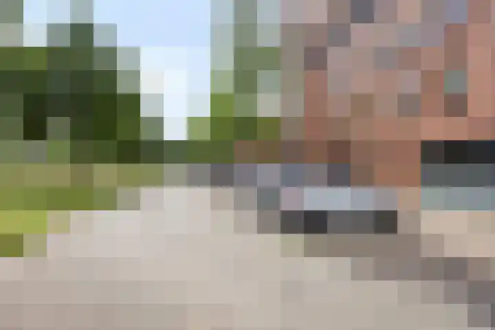 Graspieper 25 Eindhoven thumbnail 11