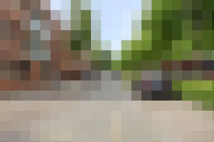 Graspieper 25 Eindhoven thumbnail 12