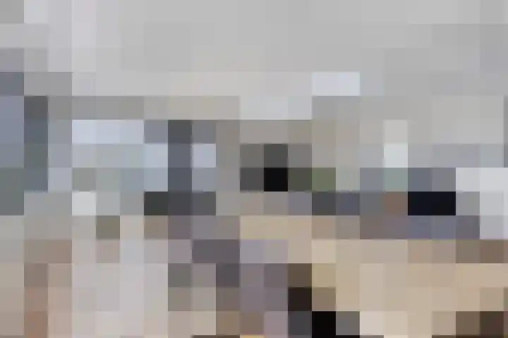 Graspieper 25 Eindhoven thumbnail 17