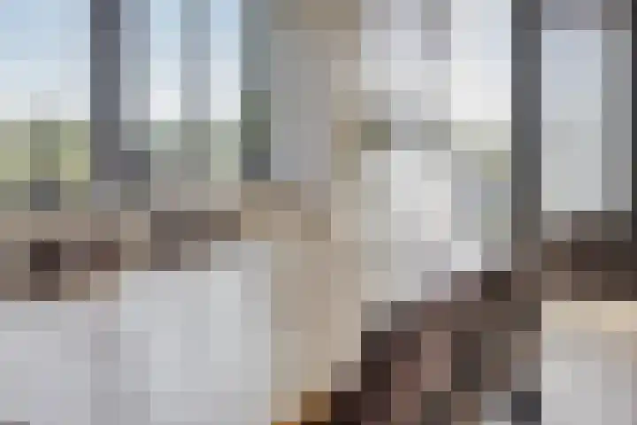 Graspieper 25 Eindhoven thumbnail 18