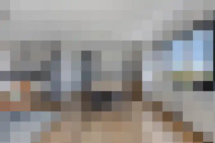 Graspieper 25 Eindhoven thumbnail 19