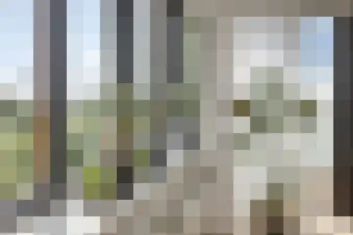Graspieper 25 Eindhoven thumbnail 21