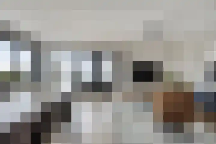 Graspieper 25 Eindhoven thumbnail 22