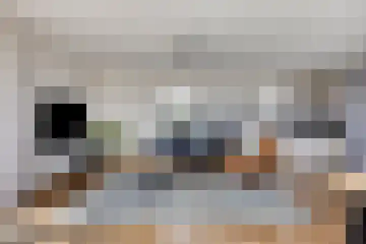 Graspieper 25 Eindhoven thumbnail 25