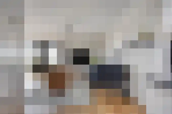Graspieper 25 Eindhoven thumbnail 27