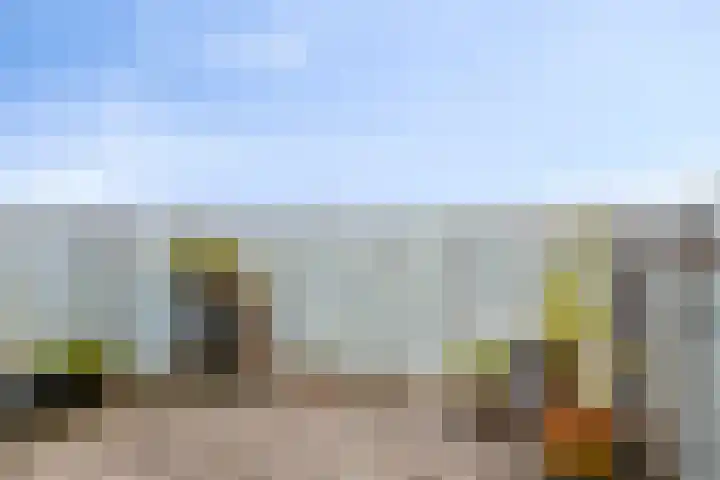 Graspieper 25 Eindhoven thumbnail 31