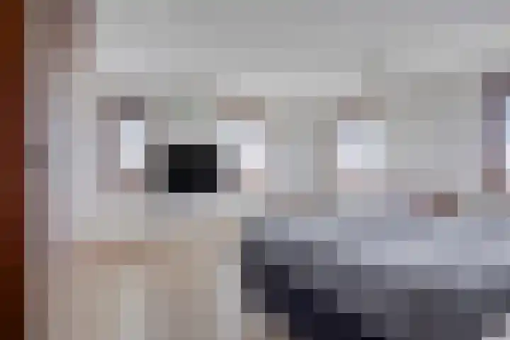 Graspieper 25 Eindhoven thumbnail 33