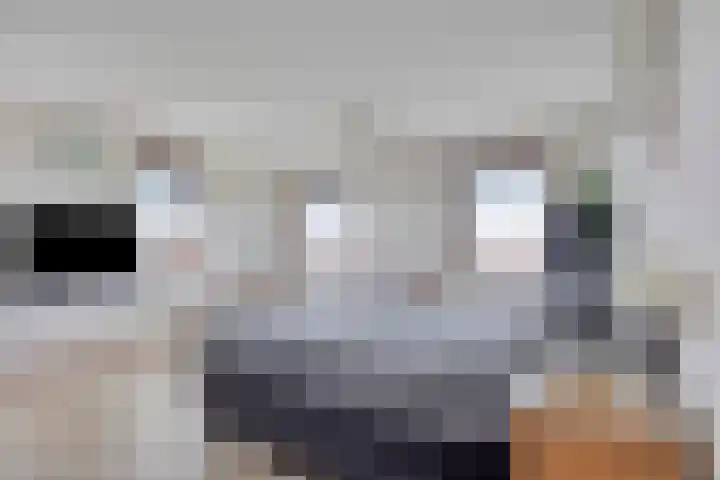Graspieper 25 Eindhoven thumbnail 34