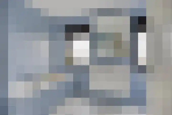 Graspieper 25 Eindhoven thumbnail 37