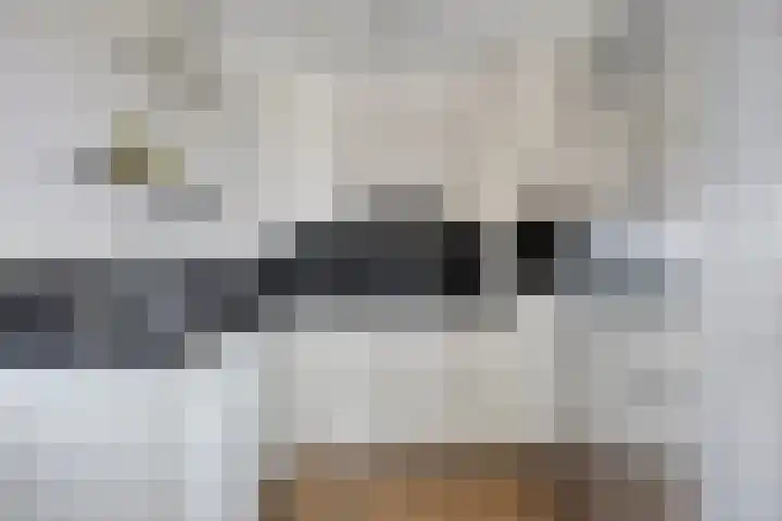 Graspieper 25 Eindhoven thumbnail 4