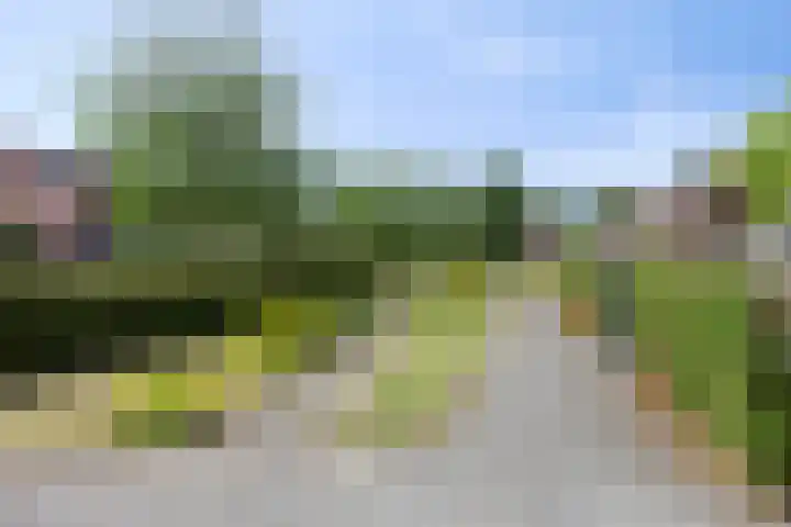 Graspieper 25 Eindhoven thumbnail 43
