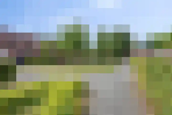 Graspieper 25 Eindhoven thumbnail 44