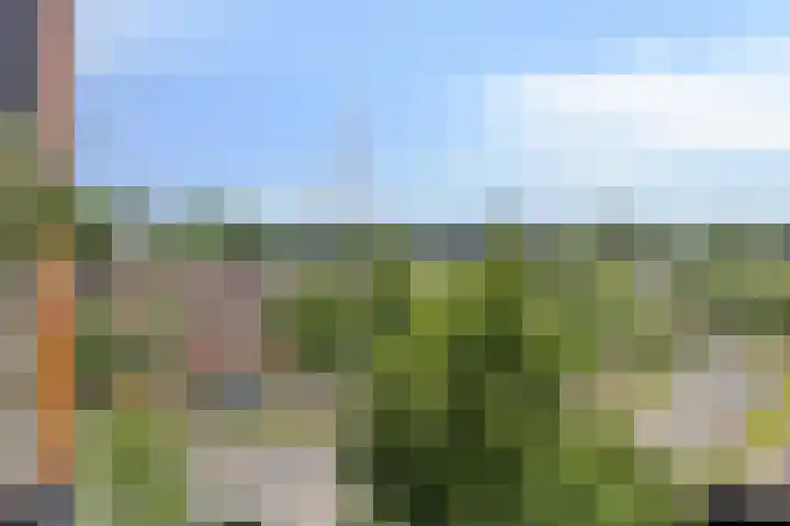 Graspieper 25 Eindhoven thumbnail 45