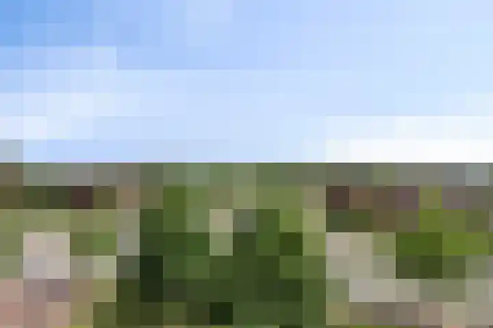 Graspieper 25 Eindhoven thumbnail 46