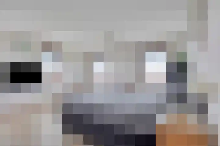 Graspieper 25 Eindhoven thumbnail 5