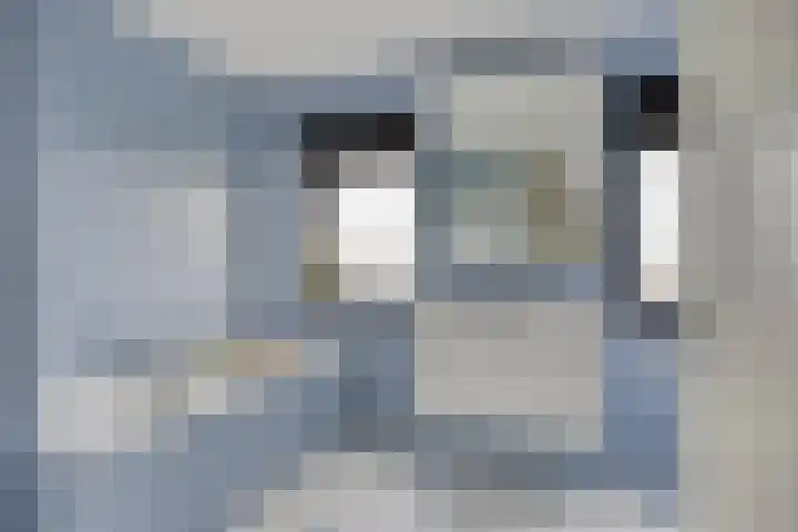 Graspieper 25 Eindhoven thumbnail 6