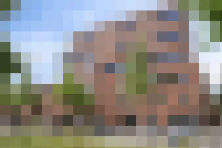 Graspieper 25 Eindhoven thumbnail 8