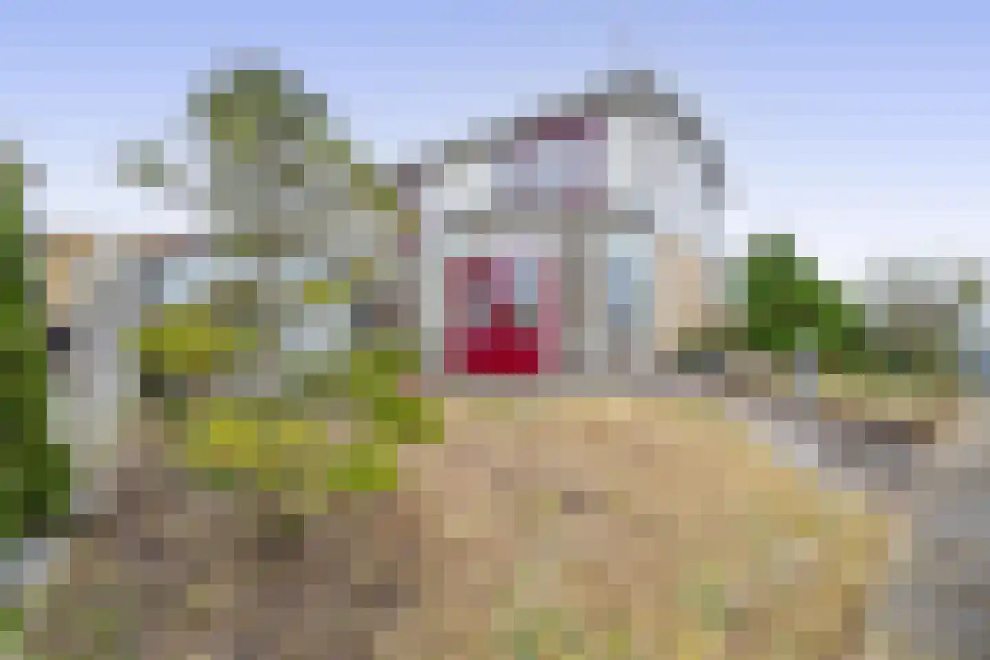 Graspieper 25 Lemmer thumbnail 15