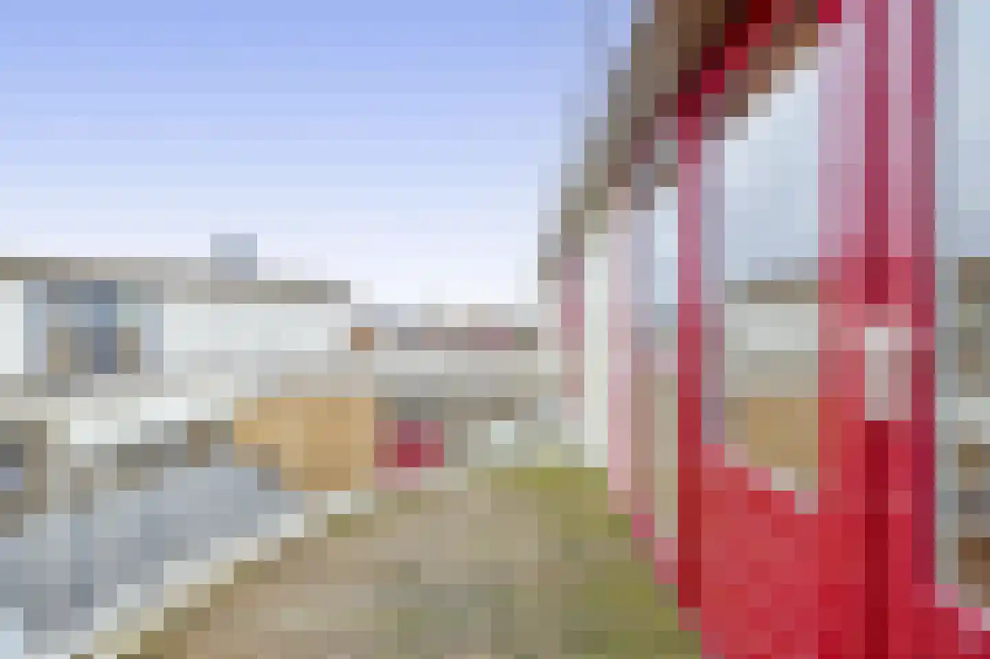 Graspieper 25 Lemmer thumbnail 24