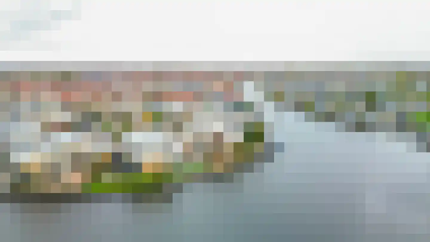 Graspieper 25 Lemmer thumbnail 33