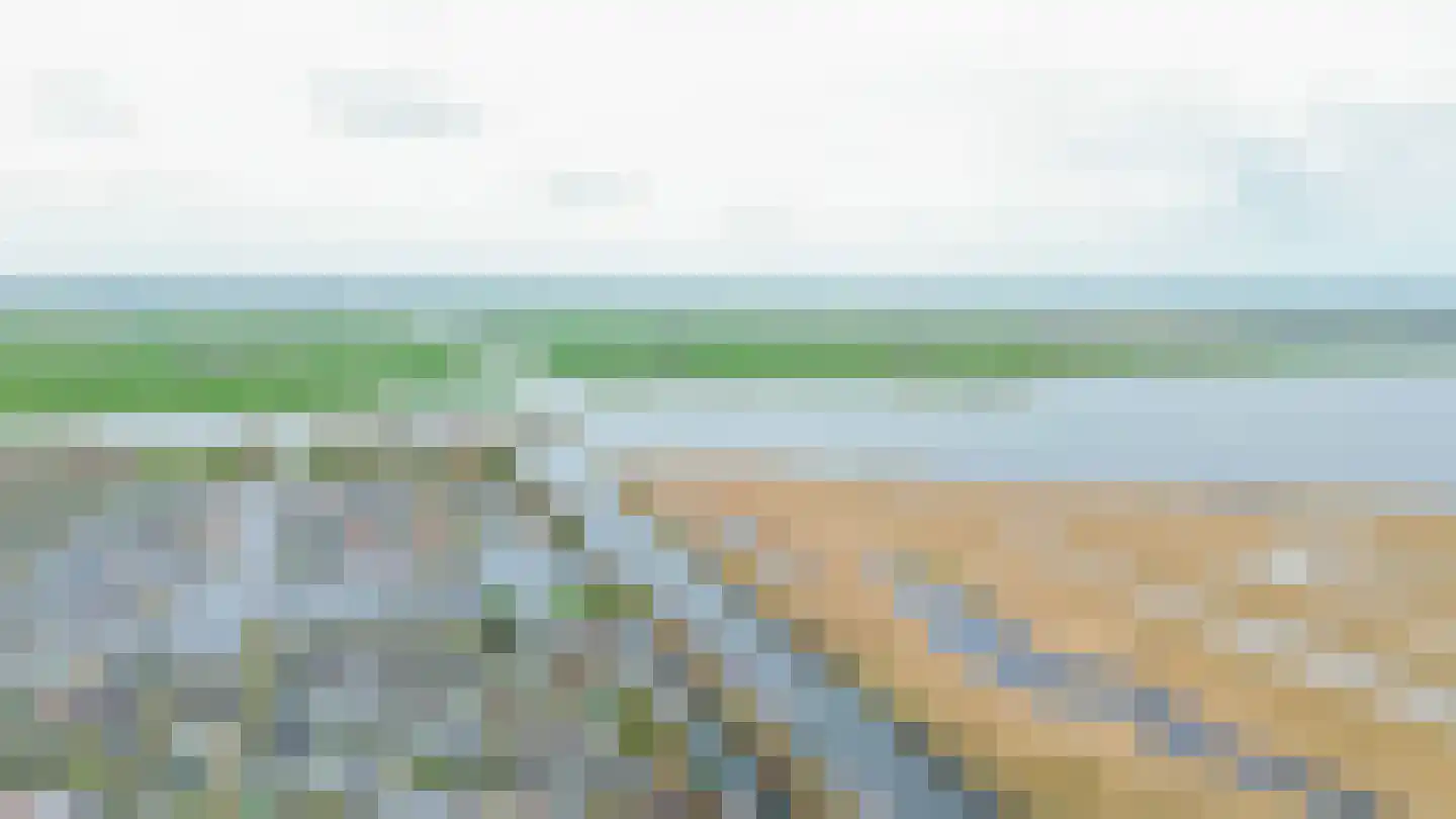 Graspieper 25 Lemmer thumbnail 36