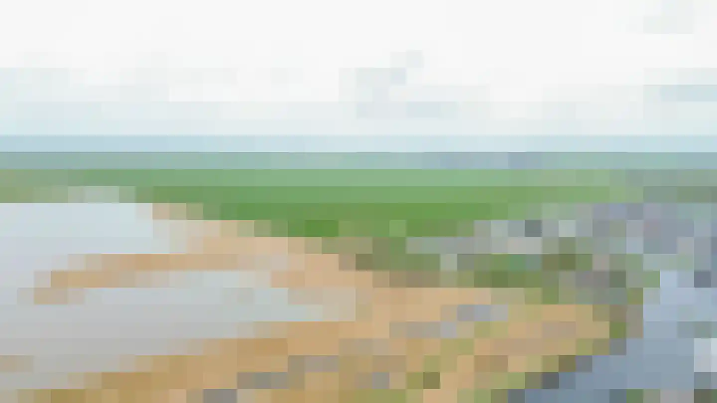 Graspieper 25 Lemmer thumbnail 37