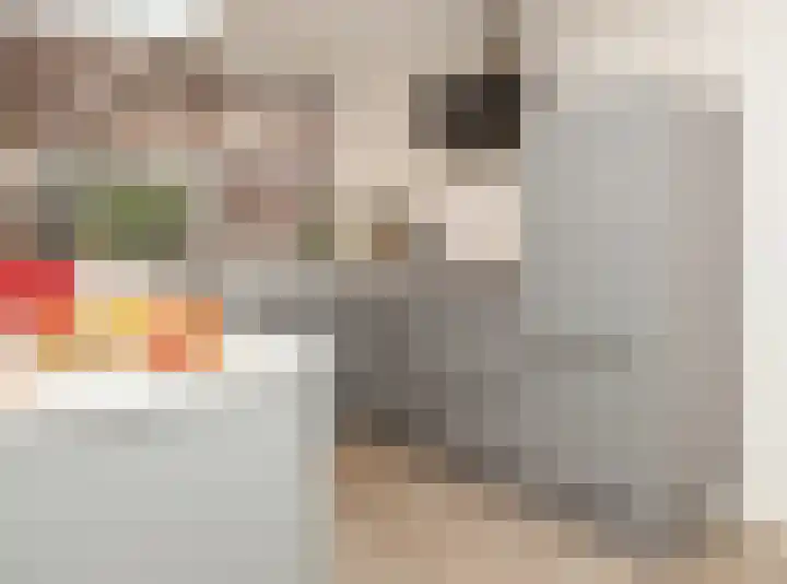 Graspieper 30 Etten-Leur thumbnail 13