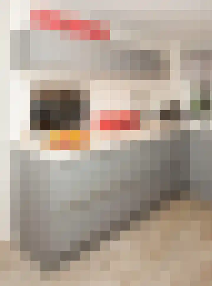 Graspieper 30 Etten-Leur thumbnail 14