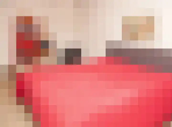 Graspieper 30 Etten-Leur thumbnail 18